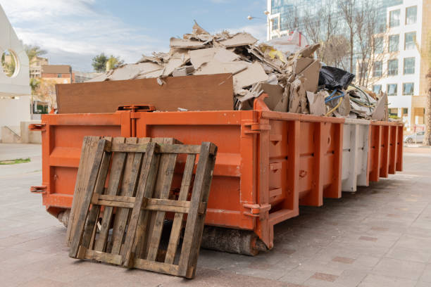 Yard Cleanup Services in Palm Bay, FL